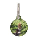 Brown Bear Family Pet ID Tag