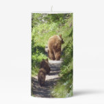 Brown Bear Family Pillar Candle