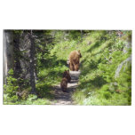 Brown Bear Family Place Card Holder