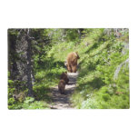 Brown Bear Family Placemat