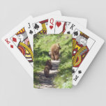 Brown Bear Family Playing Cards