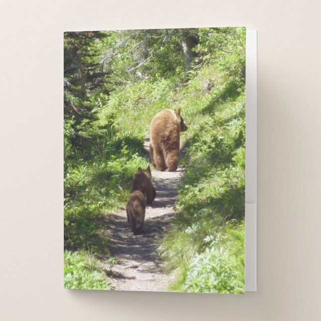 Brown Bear Family Pocket Folder (Front)