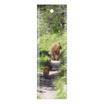 Brown Bear Family Ruler