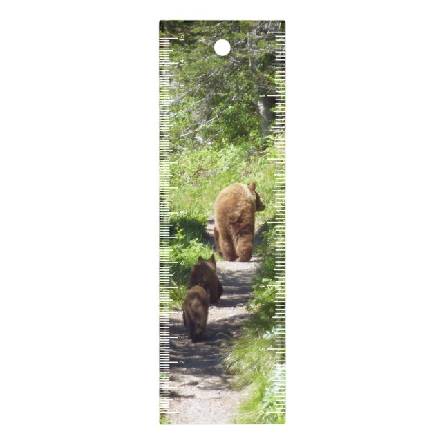 Brown Bear Family Ruler (Vertical)