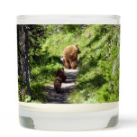 Brown Bear Family Scented Candle