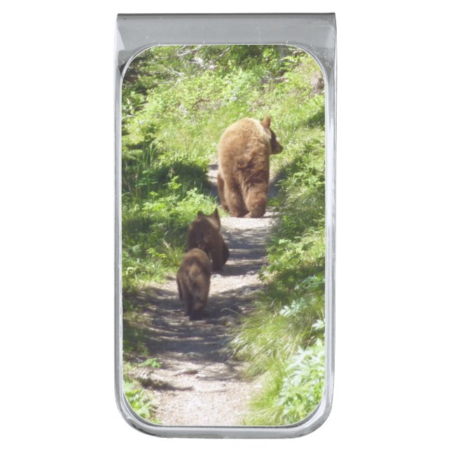 Brown Bear Family Silver Finish Money Clip (Front Vertical)