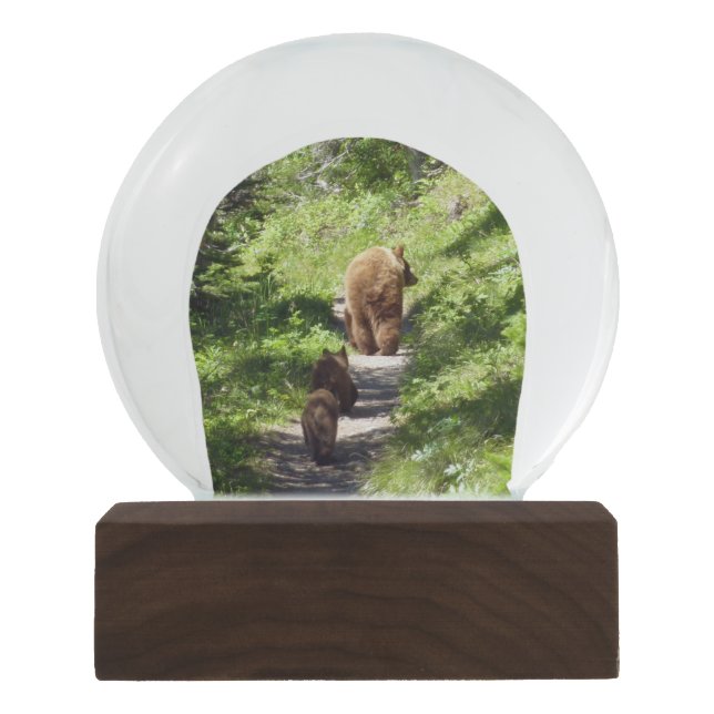 Brown Bear Family Snow Globe (Front)