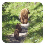 Brown Bear Family Square Sticker