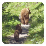 Brown Bear Family Square Sticker