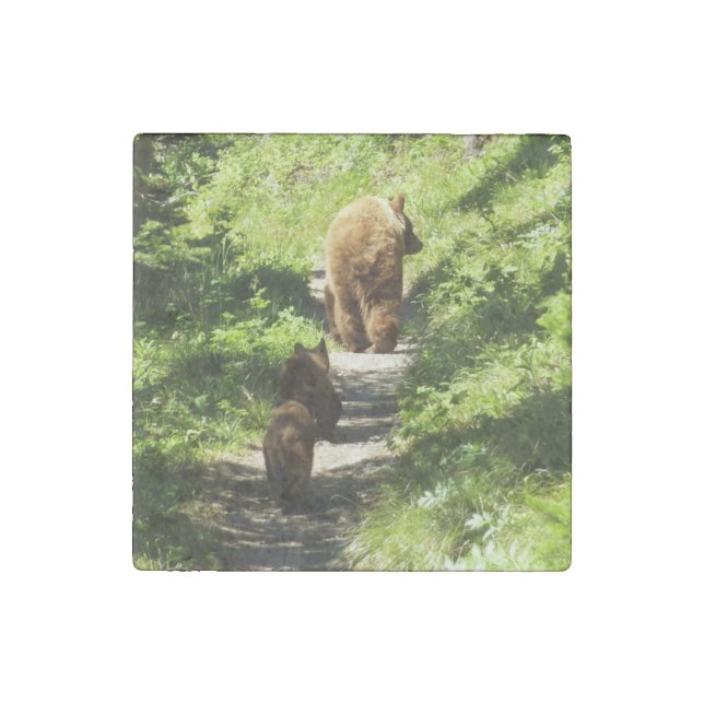 Brown Bear Family Stone Magnet (Front)