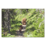 Brown Bear Family Tissue Paper