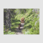 Brown Bear Family Tissue Paper
