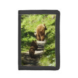 Brown Bear Family Trifold Wallet