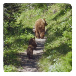 Brown Bear Family Trivet