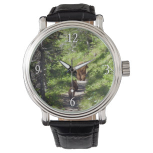 Brown Bear Family Watch