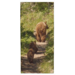 Brown Bear Family Wood Flash Drive