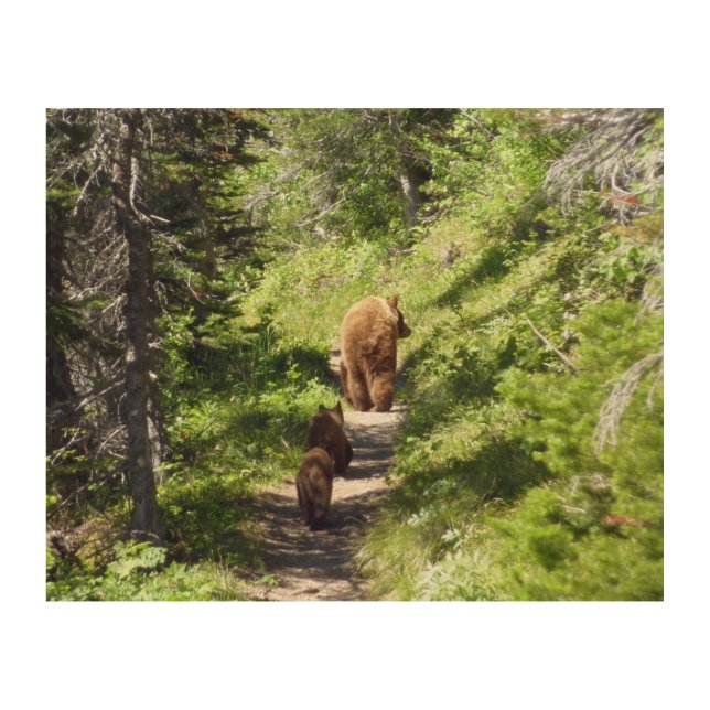 Brown Bear Family Wood Wall Art (Front)
