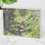 Brown Bear Family Wooden Box Sign