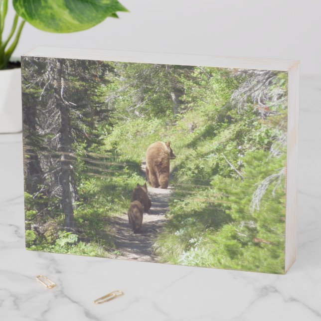 Brown Bear Family Wooden Box Sign (In Situ Horizontal)