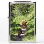 Brown Bear Family Zippo Lighter