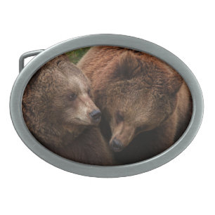 Brown Bear Female Gazing At Male Belt Buckle
