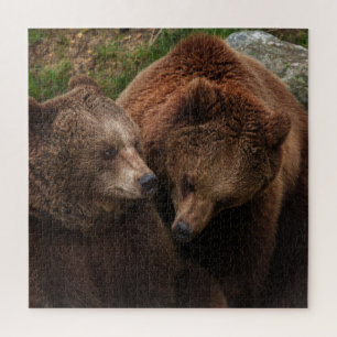 Brown Bear Female Gazing At Male Jigsaw Puzzle