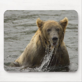 Brown bear fishing mousepad