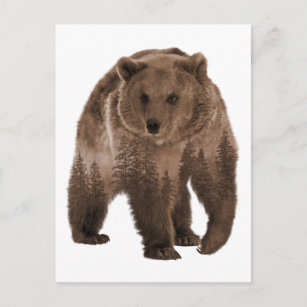 Brown Bear Forest Double Exposure Postcard