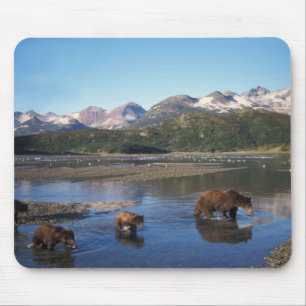 Brown bear, grizzly bear, sow and cubs in mouse pad