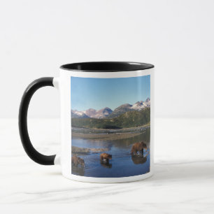 Brown bear, grizzly bear, sow and cubs in mug