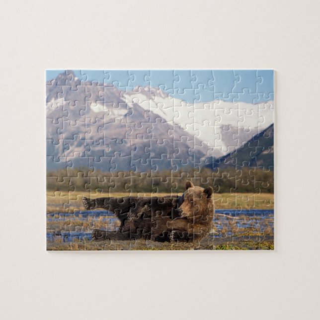 Brown bear, grizzly bear stretching on its back jigsaw puzzle (Horizontal)