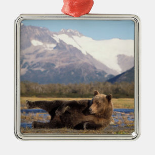 Brown bear, grizzly bear stretching on its back metal ornament
