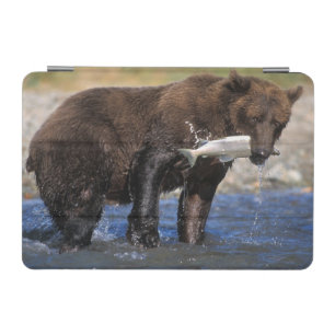 Brown bear, grizzly bear, with salmon catch, iPad mini cover