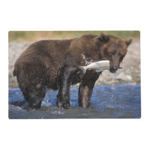 Brown bear, grizzly bear, with salmon catch, placemat