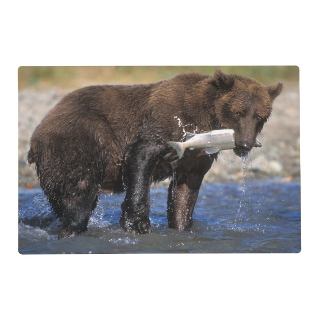 Brown bear, grizzly bear, with salmon catch, placemat (Front)