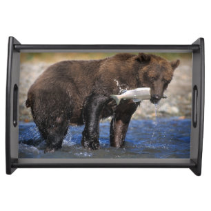 Brown bear, grizzly bear, with salmon catch, serving tray