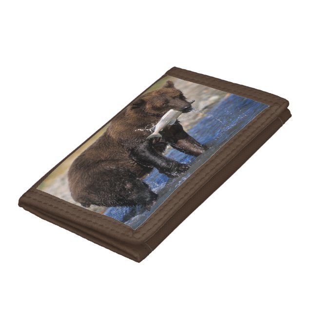 Brown bear, grizzly bear, with salmon catch, tri-fold wallet (Bottom)