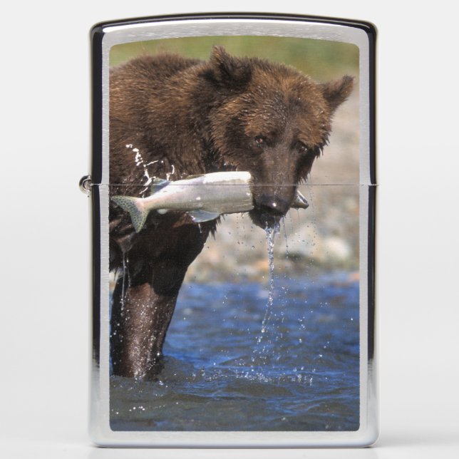 Brown bear, grizzly bear, with salmon catch, zippo lighter (Front)
