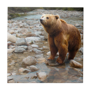 Brown Bear in Stream Ceramic Tile