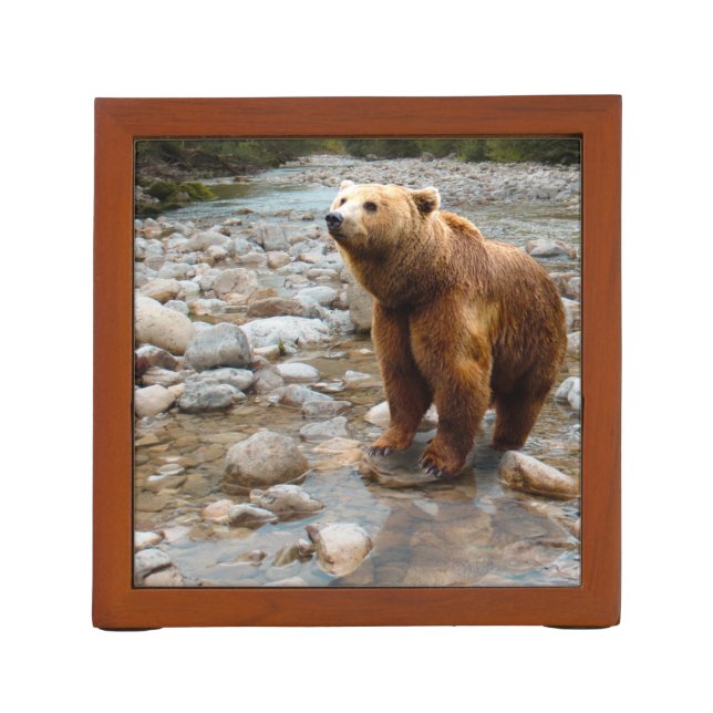 Brown Bear in Stream Desk Organizer (Back)