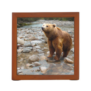 Brown Bear in Stream Desk Organizer