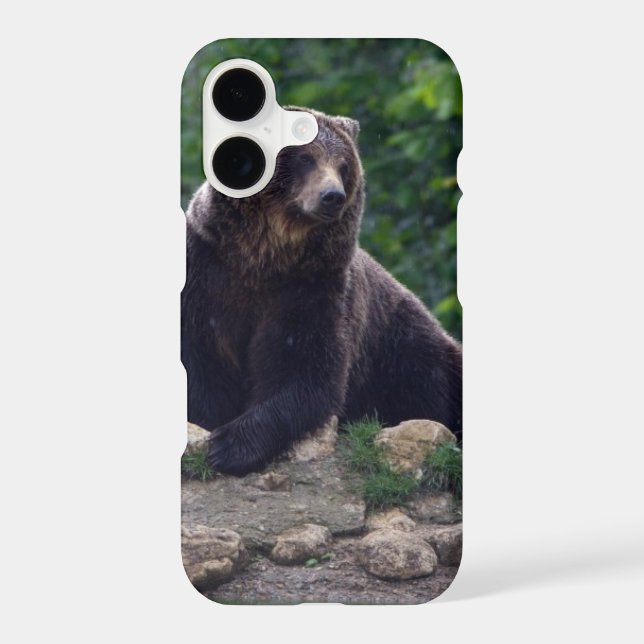 Brown bear iphone case (Back)