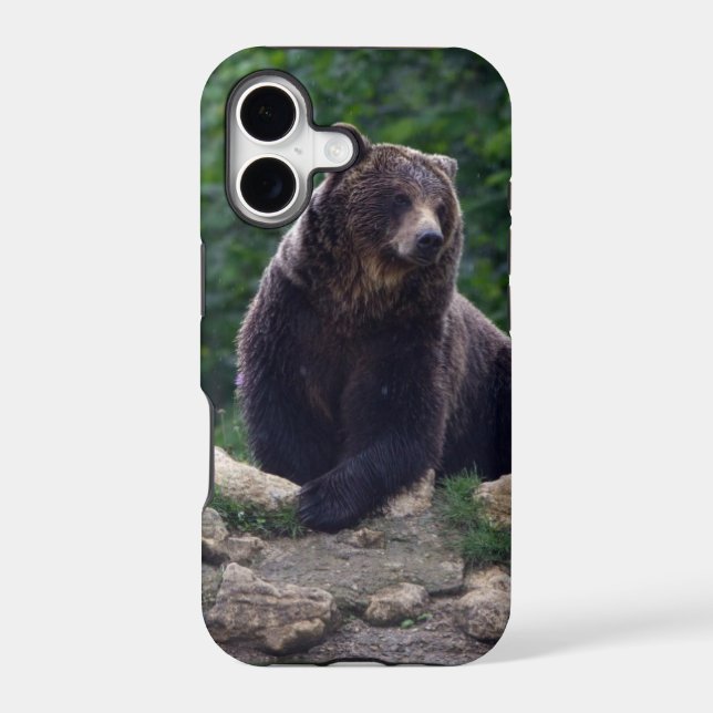 Brown bear iphone case (Back)