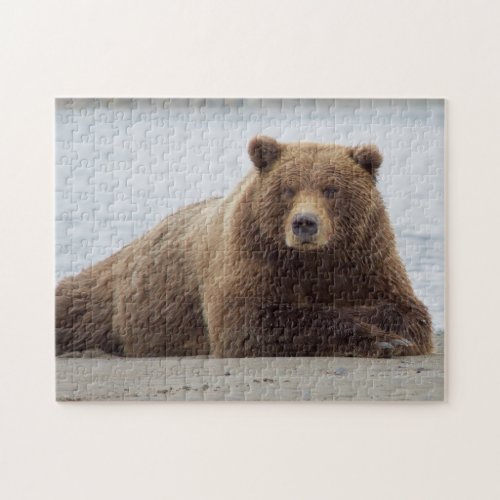 Brown Bear Jigsaw Puzzle