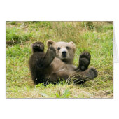 Brown_Bear_Kodiak_Cub (Front Horizontal)