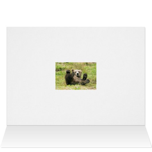 Brown_Bear_Kodiak_Cub (Inside Horizontal (Top))