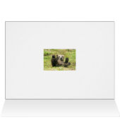 Brown_Bear_Kodiak_Cub Cards (Inside Horizontal (Top))