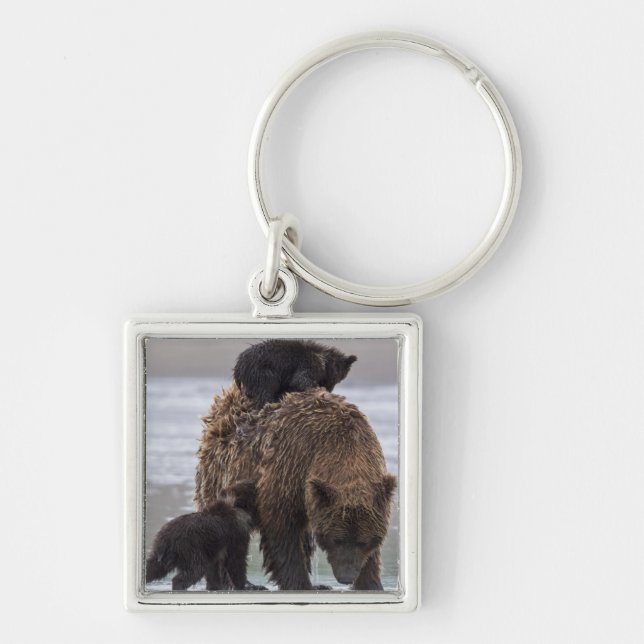 Brown Bear | Lake Clark National Park Keychain (Front)