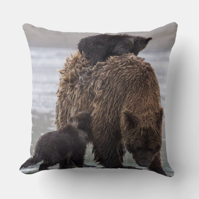 Brown Bear | Lake Clark National Park Throw Pillow (Front)