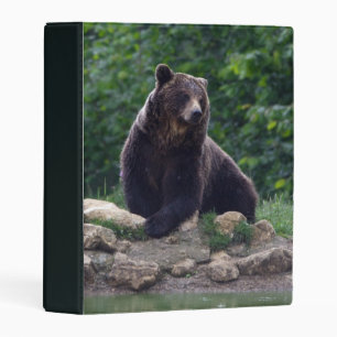 Brown bear mini binder